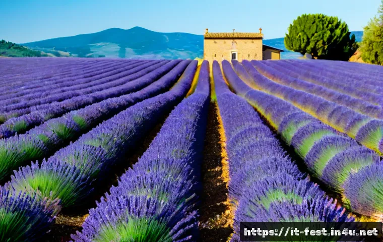 라벤더 농장 방문기 - Photorealistic wide view of a lavender farm in the Italian countryside, long symmetrical rows of viv...