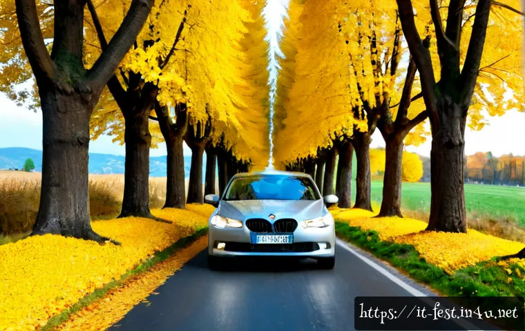 Home 17 은행나무길 드라이브 코스 - Photorealistic autumn drive along a long avenue of golden ginkgo trees in the Northern Italian count...